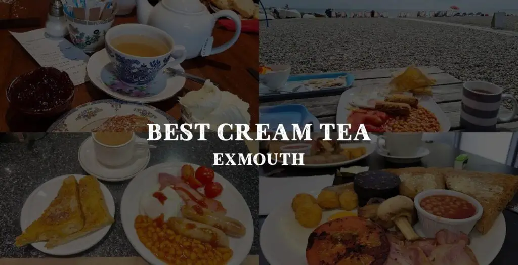 the perfect spot for cream tea in Exmouth