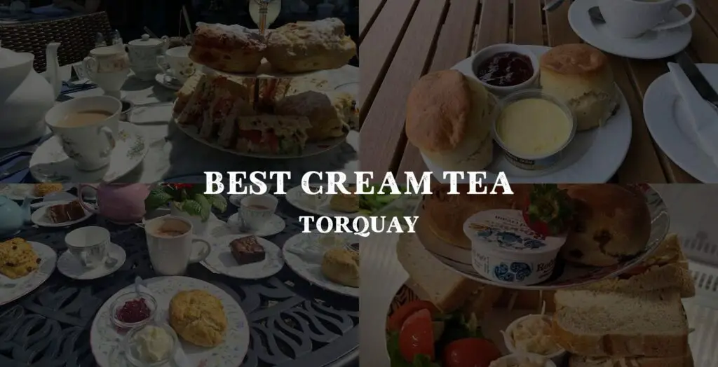 the perfect spot for cream tea in Torquay