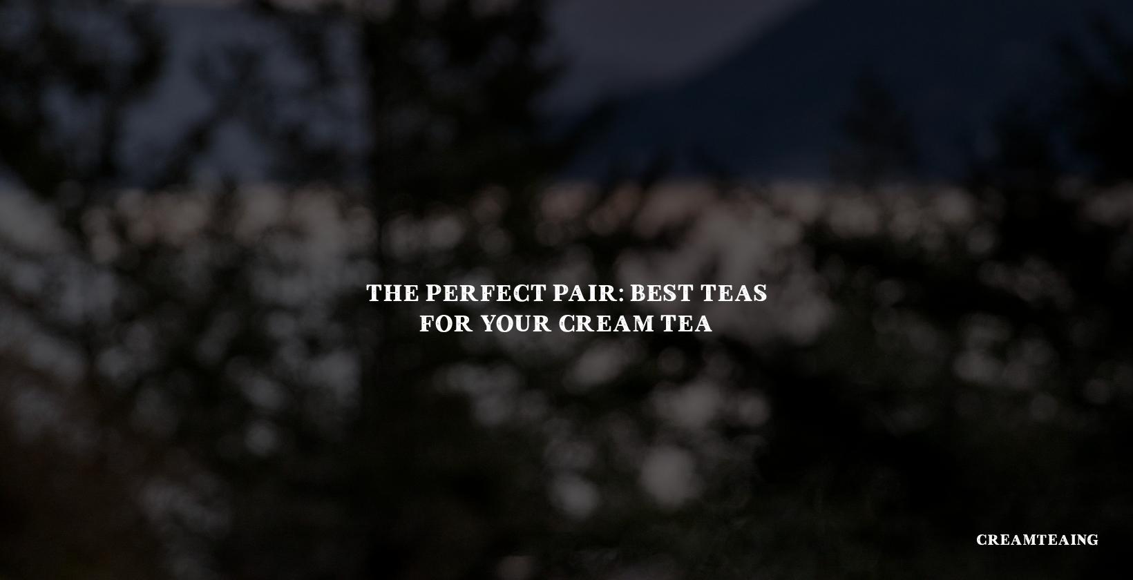 The Perfect Pair: Best Teas for Your Cream Tea